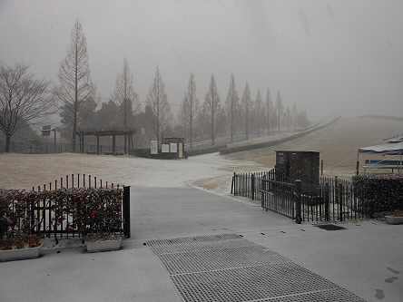 雪景色(グラススキー)